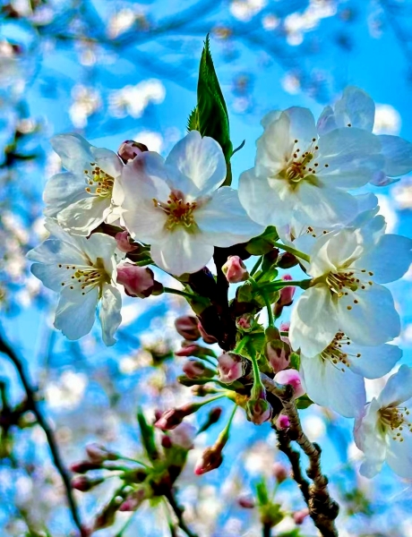 %e5%be%ae%e4%bf%a1%e5%9b%be%e7%89%87_2026-03-18_112029_799