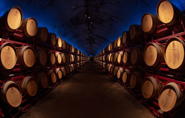 %e5%be%ae%e4%bf%a1%e5%9b%be%e7%89%87_2026-03-18_112035_192